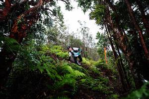 BIB: 
                            <button type="button" onclick="openModal(26203878)" class="btn btn-primary btn-sm float-right btn-popup" data-toggle="modal" data-target=".modal-high-quality">
                        <i class="fas fa-shopping-cart"></i> Add to Cart
                    </button>
                                            <button type="button" onclick="isThisMe(26203878, true)" class="btn btn-success btn-sm float-right btn-popup btn-isme hidden" data-toggle="tooltip" data-placement="bottom" title="นี่คือรูปของคุณใช่ไหม คลิกที่นี่เพื่อเอาเข้าอัลบั้ม">
                        <i class="fas fa-plus"></i> Add to album
                    </button>
                    <button type="button" onclick="isThisMe(26203878, false)" class="btn btn-warning btn-sm float-right btn-popup btn-isnotme hidden">
                        <i class="fas fa-ban"></i> Remove from album
                    </button>